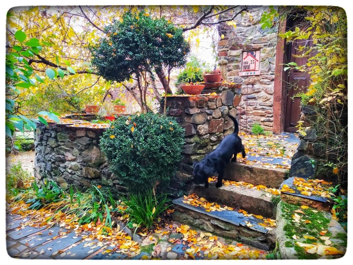 Landhuis Jardines Del Robledo-albar *