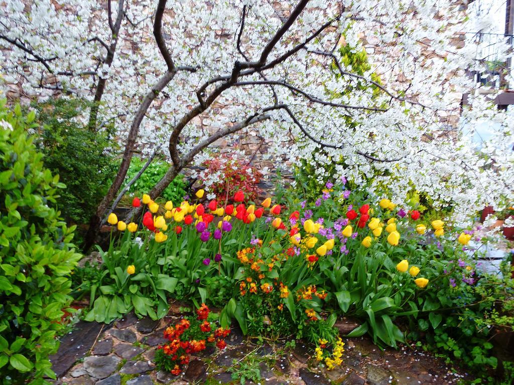 Jardines Del Robledo-albar